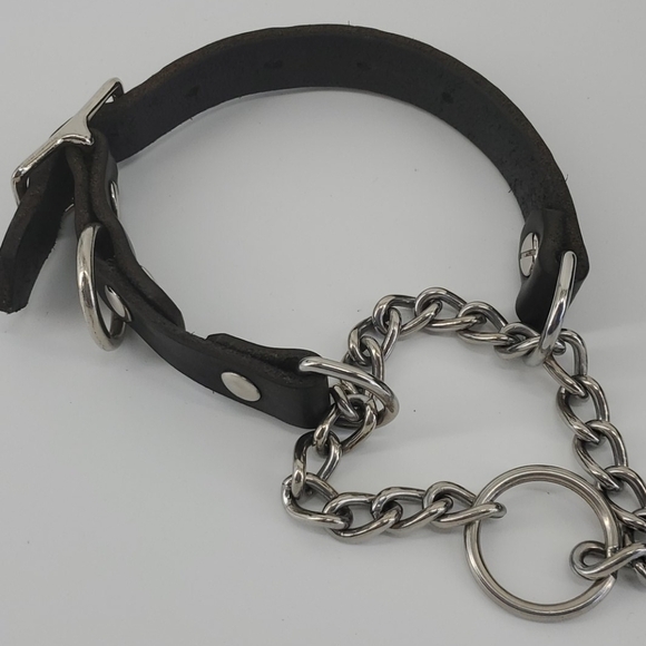 2 dog bowls and a leather choker collar - Picture 6 of 8